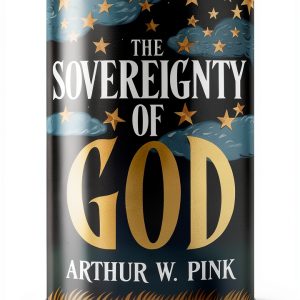Calvinist Christianity Insights by Revelation Press-0